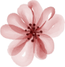 bt-image-12 bt-image-12